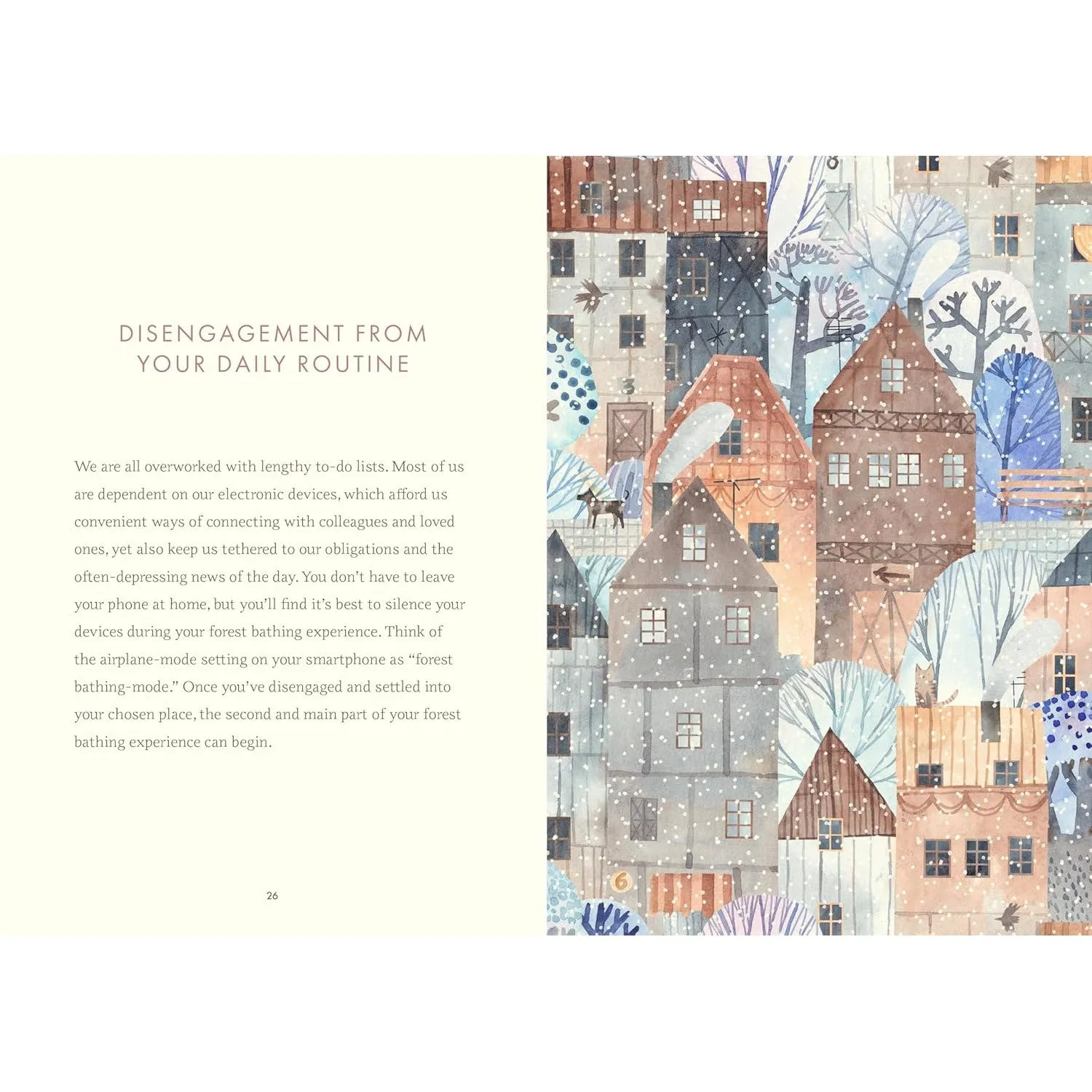 Wild Walking: A Guide to Forest Bathing through the Seasons - Melanie Choukas-Bradley
