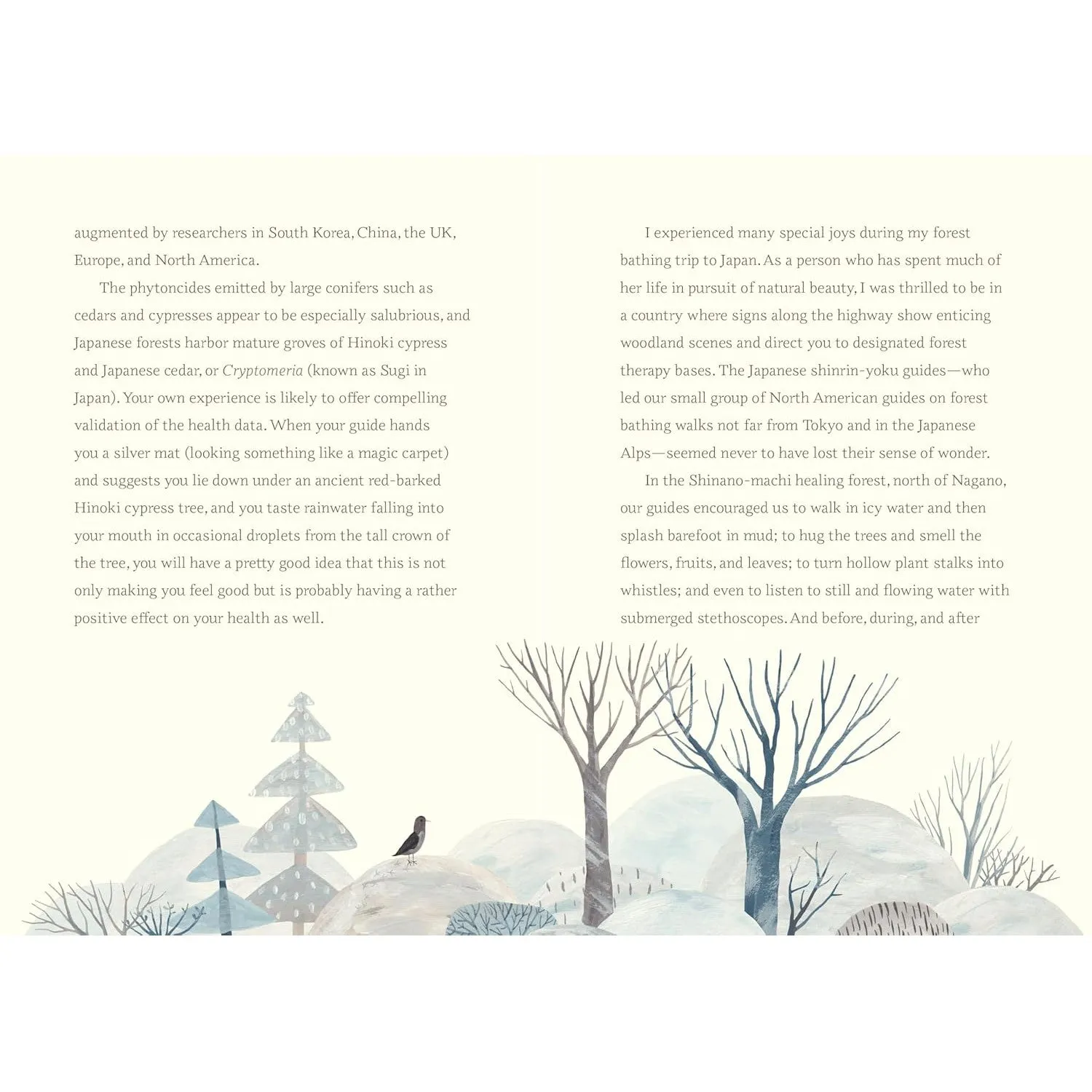 Wild Walking: A Guide to Forest Bathing through the Seasons - Melanie Choukas-Bradley