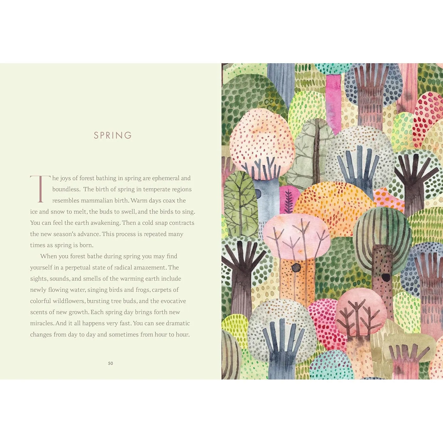 Wild Walking: A Guide to Forest Bathing through the Seasons - Melanie Choukas-Bradley