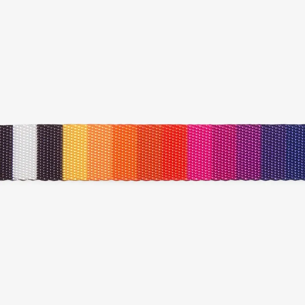 Zee Dog Prisma Dog Lead