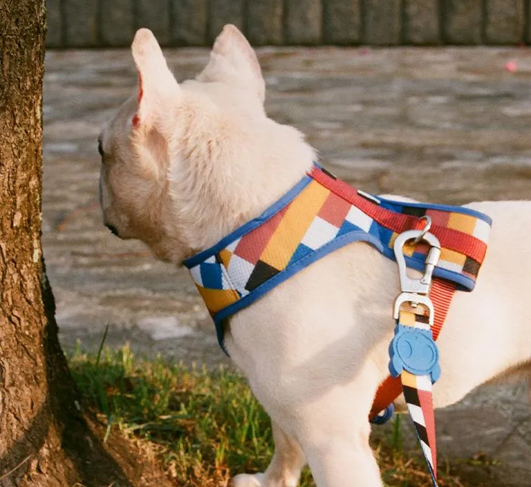 Zee.Dog Dog Leash (Blocks)